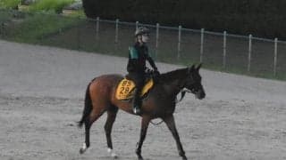 アリスヴェリテ、クイーンS1週前追い切り速報/栗東トレセンニュース