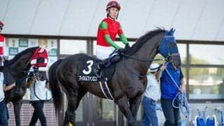 あなたの推し馬がぬいぐるみになるかも!? 「アイドルホースオーディション2025」がスタート