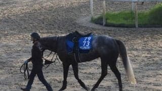 ヤマニンアルリフラ、CBC賞2週前追い切り速報/栗東トレセンニュース