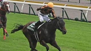 【アイビスSD想定】モズメイメイやウイングレイテストなど12頭