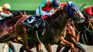 【関屋記念】小崎綾也騎手が7年ぶりのJRA重賞制覇なるか ハクサンバードで参戦