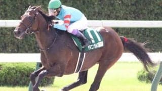 【東海S】元・砂の大物候補 ヤマニンウルスが1年ぶりの復活Vなるか