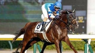 【関屋記念予想】AIは妙味十分な一頭をチョイス 不安要素も少なく狙いめか