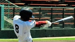 打ち勝つイメージ通りの乱打戦　城北、相手を上回る20安打も及ばず