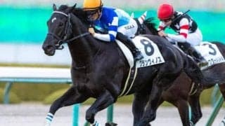 【関ケ原S】「大魔神」佐々木主浩オーナーの良血 グランヴィノスが1年4カ月ぶりの復帰戦だ