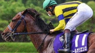 半兄にソールオリエンスなど フィロステファニが新潟3Rで初陣