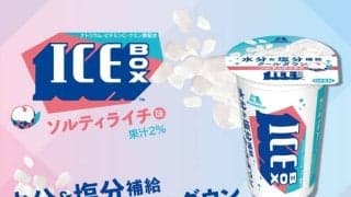 実は熱中症対策にもなる「アイスボックス」！ソルティライチ味がおいしそう