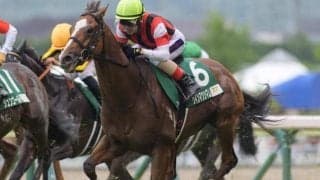 素質馬ウインマクシマムが待望の復帰戦 1年1ヵ月のブランク跳ねのけ勝利なるか