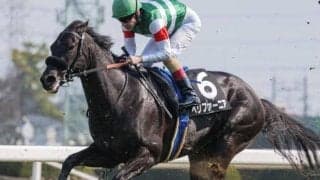 【新潟日報賞】半兄はGI・3勝のエフフォーリア ペリファーニアが連勝でオープン入りなるか