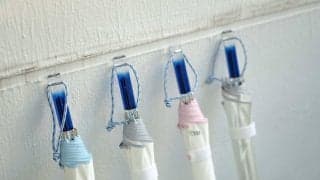 【物理的に涼しい日傘】大阪万博の建築物にも採用！遮熱・遮光・UVカットで「体感温度を下げる」