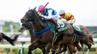 23年函館スプリントS覇者のキミワクイーンが登録抹消 今後は繁殖入りの予定