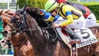 母はダンスファンタジア 名牝系出身のグラウンドビートがダートでオープン入り狙う