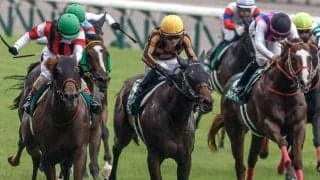 【アイビスSD想定馬・騎手】モズメイメイ、ウイングレイテストなど18頭