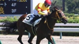 開幕週の新潟芝は高速馬場 新潟日報賞はイサチルシーサイドの逃げ切りがあるぞ