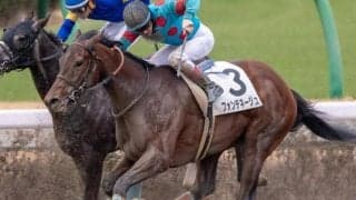 母は白毛初の重賞ウイナー フォンデネージュが待望の初勝利なるか