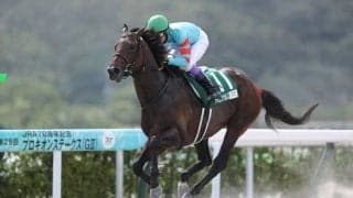 武豊騎手 今週の騎乗馬…東海Sはヤマニンウルスとのコンビ
