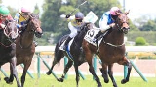 キミワクイーンの競走馬登録抹消…繁殖予定