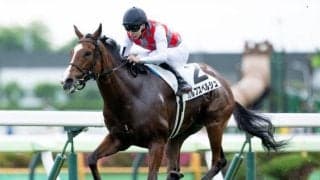 【今日の注目ポイント】新潟・中京で暑熱対策「競走時間帯の拡大」がスタート