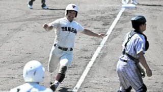 高校野球の和歌山大会、26日に準決勝　ベスト4の各チームの強みは
