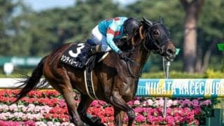 【新潟日報賞】人気馬不振で大波乱も 二桁人気でも積極的に買いたい一戦