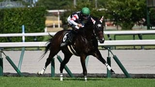 【関ケ原S】1番人気の好走率高め 母の父キングマンボ系に注目