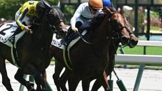 【中京4R新馬戦結果】ロードカナロア産駒マイケルバローズが接戦を制す