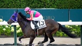 【札幌5R新馬戦結果】ルヴァンスレーヴ産駒テイエムキハクが押し切り勝ち