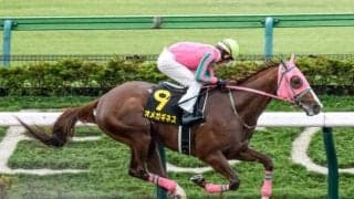 【東海S予想】近走の不振から脱却なるか？ 血統面から大きな割引が必要になりそうな人気馬とは