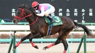 グラティアスの競走馬登録抹消…乗馬となる予定