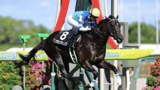 【関ケ原S】良血グランヴィノス4勝目をマーク