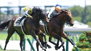 【新馬/中京4R】ロードカナロア産駒 マイケルバローズがデビューV