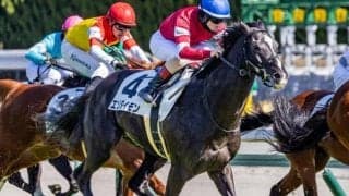 【札幌日経賞】「ウマ娘」藤田晋オーナーの良血 エゾダイモンが格上挑戦でオープンVなるか