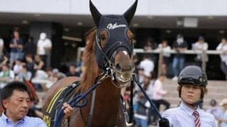 中京ダートは差し可能 東海Sは外枠巧者のサンライズフレイムが狙い目だ