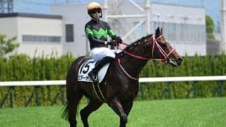 【東海S前日オッズ】ビダーヤが3.8倍で1番人気