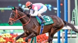 21年京成杯の覇者グラティアスが登録抹消 今後は乗馬に