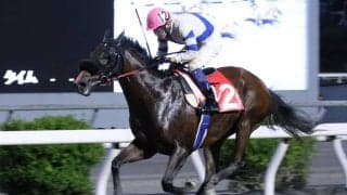 【高知・五台山特別】1番人気ケイアイメープルが接戦制す…赤岡騎手「理想的な形」