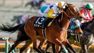 【今日の注目ポイント】新潟で関屋記念と中京で東海S