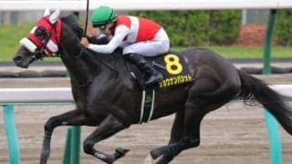 【札幌日経賞】4歳が好成績 人気馬の信頼度が高い長距離戦