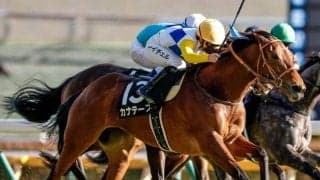 【関屋記念予想】ワンターンのサマーマイルシリーズ第2戦 瞬発力が求められる戦い