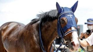 【関屋記念】過去10年のデータを分析 的中のカギを握るのは外枠＆巨漢馬か