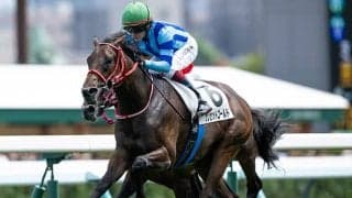 【札幌5R新馬戦結果】キズナ産駒サンセットゴールドが人気に応えてV