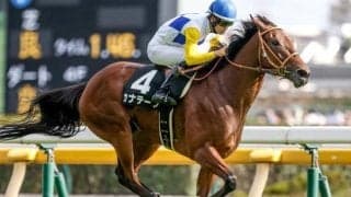 【関屋記念・馬体重】カナテープは482kg(-2)、ボンドガールは456kg(±0)