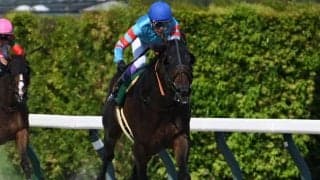 【JRA・WIN5】本日のWIN5は的中1929票、配当26万4040円