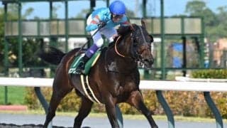 【東海S結果】武豊騎手騎乗のヤマニンウルスが3馬身半差で完勝！ 復活の重賞2勝目！