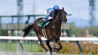 【東海S】武豊ヤマニンウルスが復活で重賞2勝目