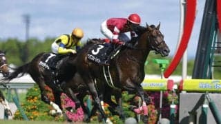 【木曽川特別】サトノアラジン産駒 ヤングスカーレットが3連勝