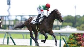 【新馬/中京3R】シスキン産駒 ロックターミガンがデビューV