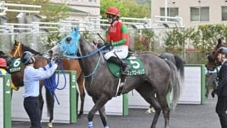 【クイーンS】フェアエールング、アリスヴェリテらが登録