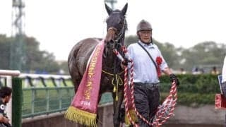 【アイビスSD】モズメイメイ、ウイングレイテストらが登録