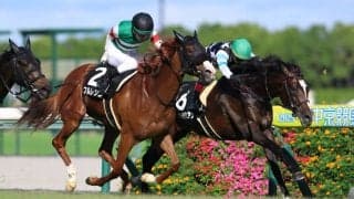 【御在所特別】バデル騎乗 メディテラニアンが抜け出す